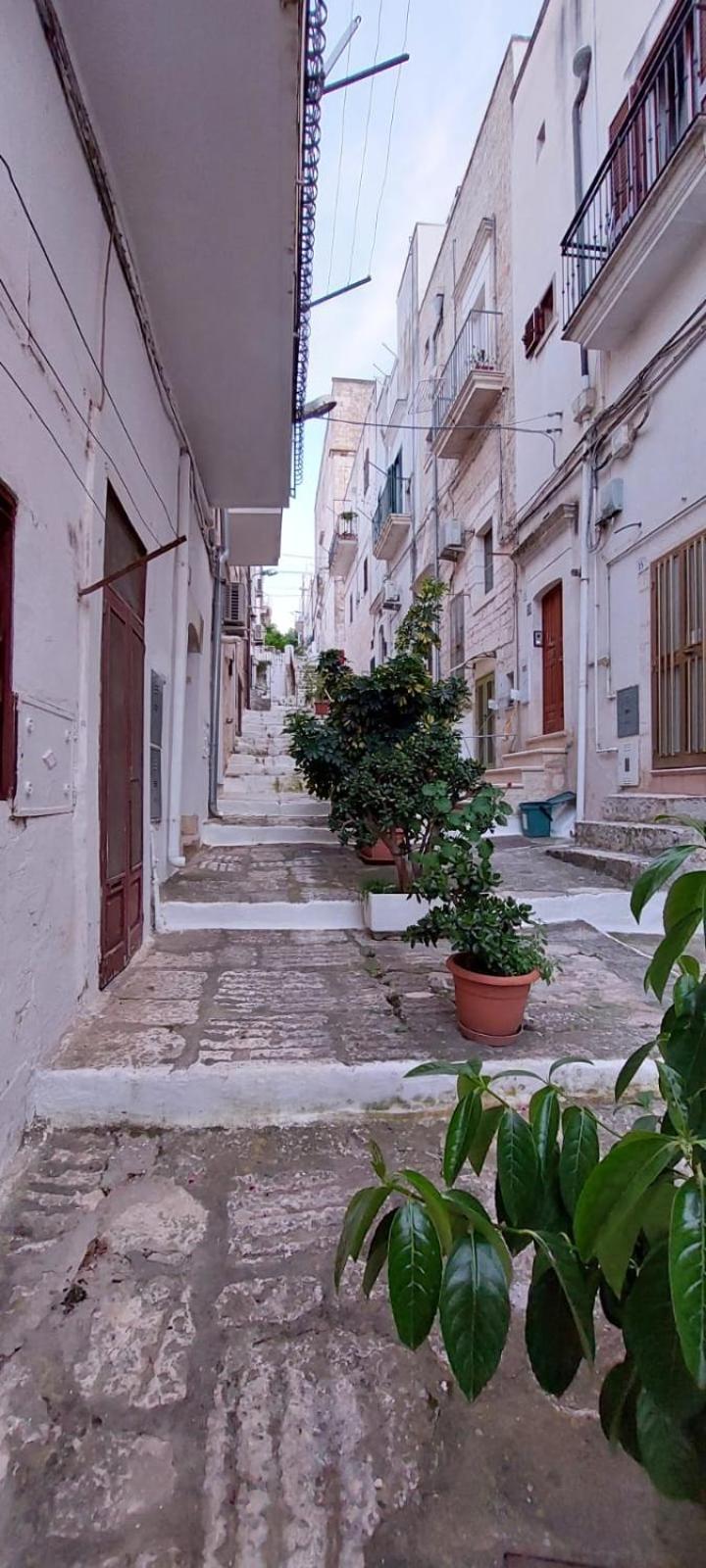 Vico Anglani Guest House 오스투니 외부 사진